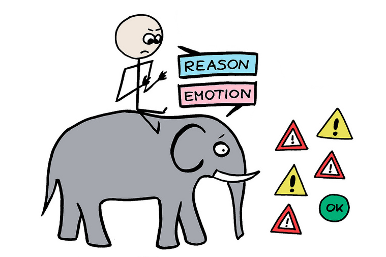 The elephant or its rider --who guides who and who makes the decisions